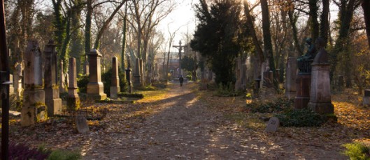 02alter-suedfriedhof-620